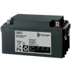 Batería de Plomo UTC™ Interlogix® 12VDC 65Ah//UTC™ Interlogix® Lead Battery 12VDC 65Ah