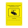 Placa CCTV Homologada (Francés)//CCTV Plate Approved (French)