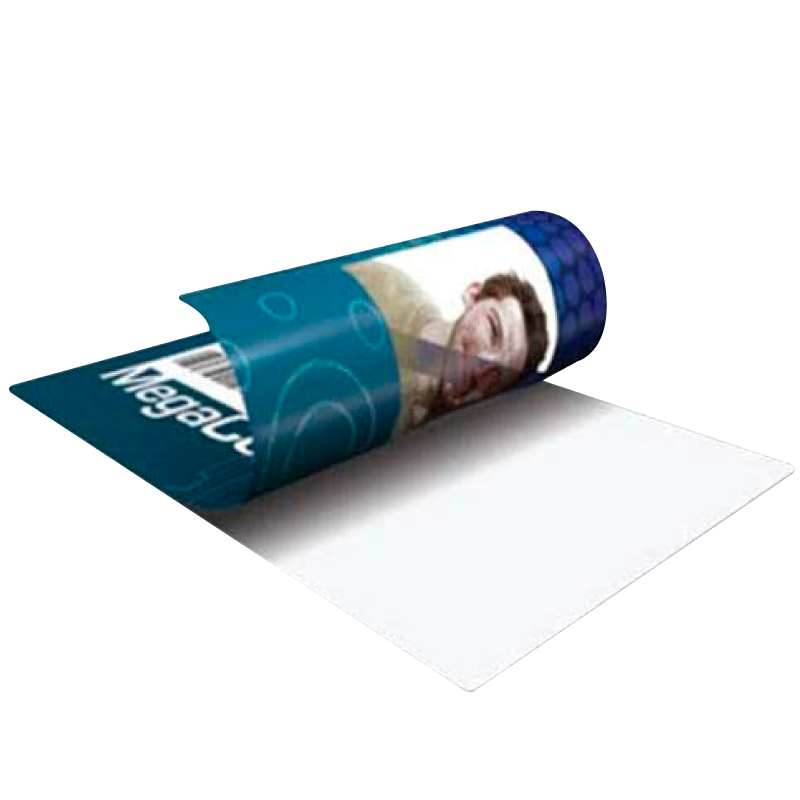 Impresión de Color Base (Anverso + Reverso)//Base Color Printing (Front + Back)