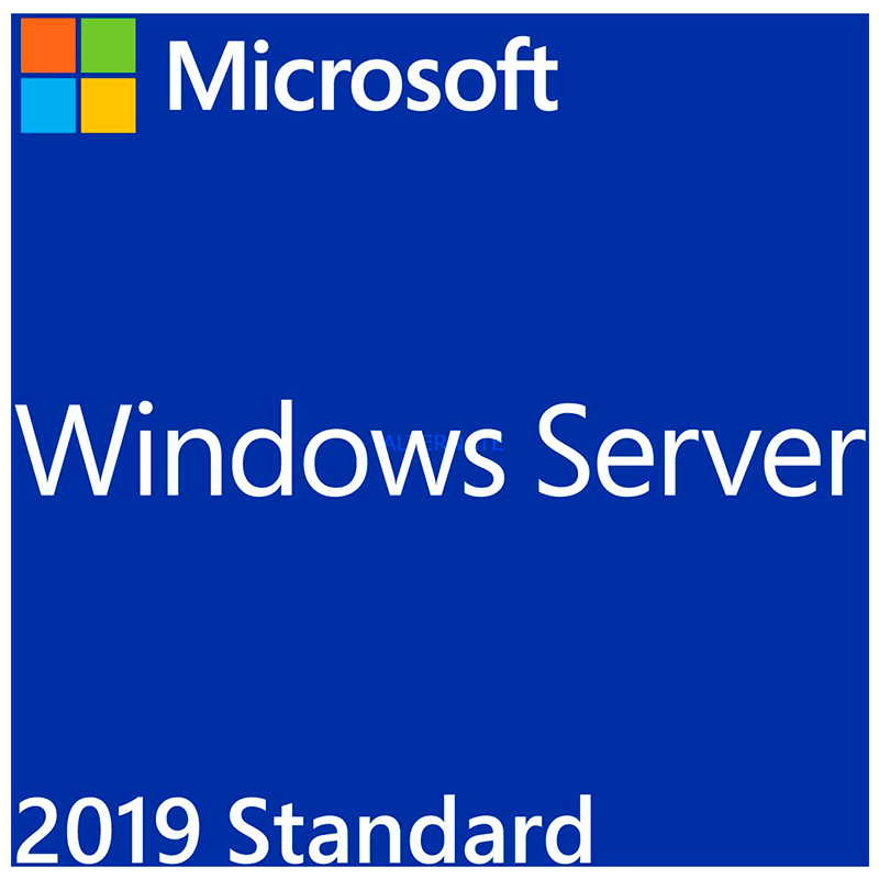 Microsoft™ Windows™ Server 2019 Standard//Microsoft™ Windows™ Server 2019 Standard