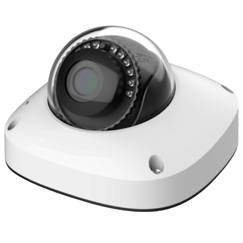 Minidomo IP Eagle Eye™ de Exterior DM08 Outdoor con 4Mpx (H265, IR, IP66, 3.6mm, Micrófono, POE)//Eagle Eye™ DM08 Outdoor Mini Dome Camera with 4Mpx (H265, IR, IP66, 3.6mm Lens, Microphone, POE)