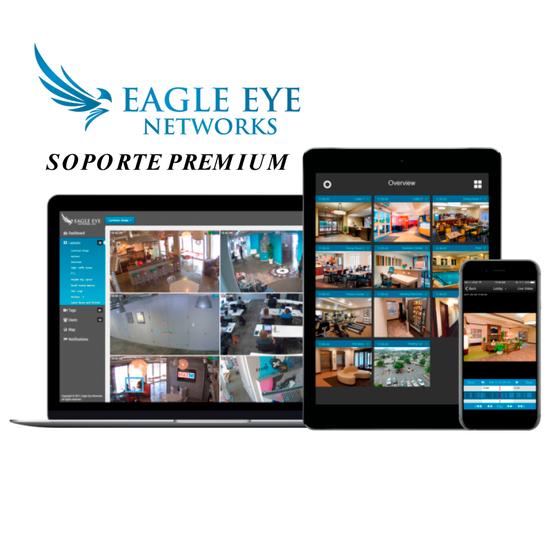 Soporte Premium Eagle Eye™ - Cuota de 3 Años//Eagle Eye™ Premium Support - 3 Year Fee